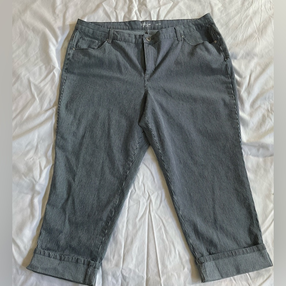 Style & Co blue and White Striped Pants
Size 18